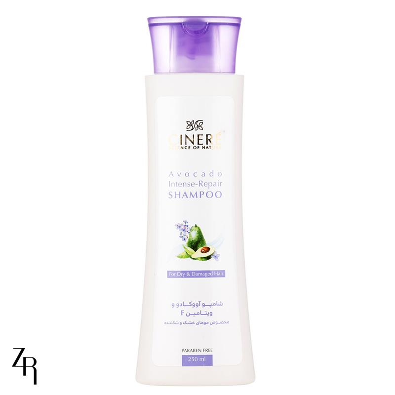 fs000900512-2025119172648139