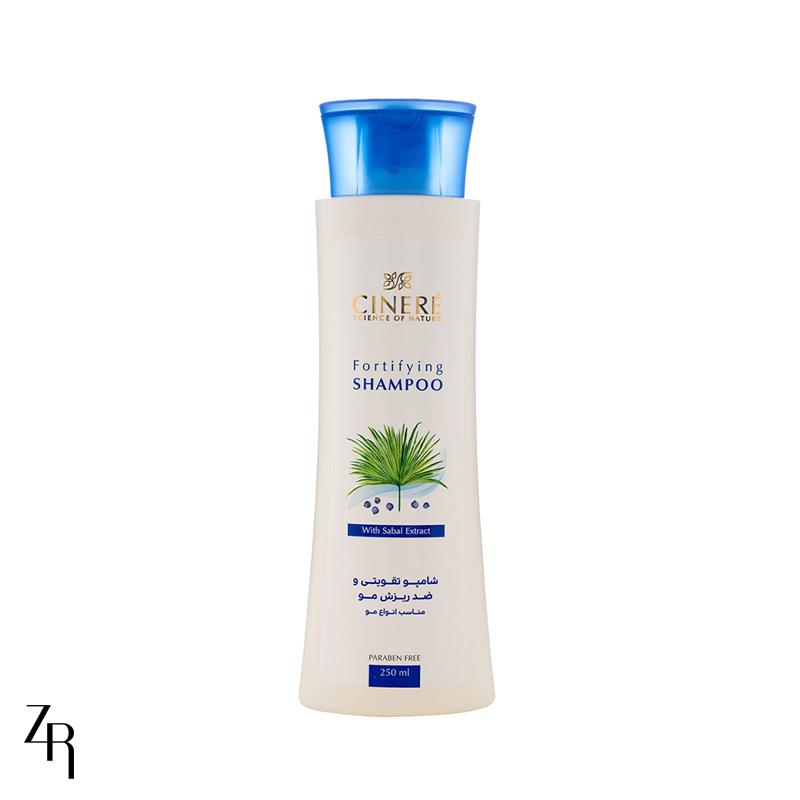 fs000900512-2025119172648155